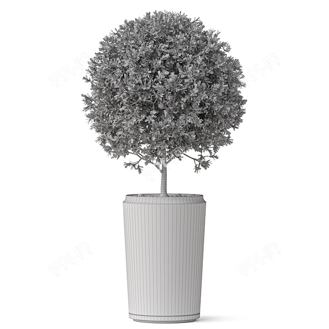 Large-scale Plant Collection 845 3D model image 3