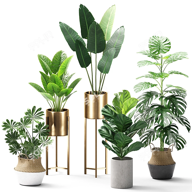 Green Oasis Set 04 3D model image 1