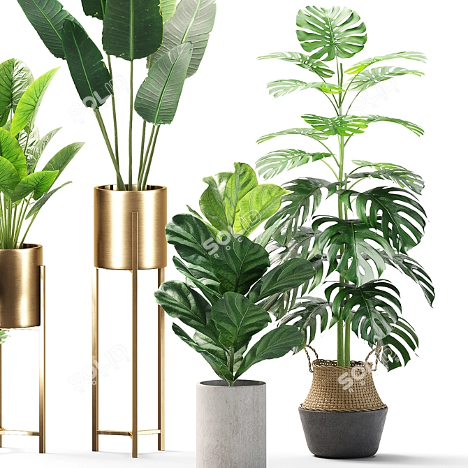 Green Oasis Set 04 3D model image 3