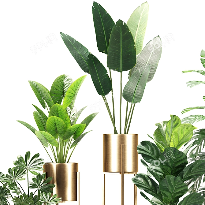 Green Oasis Set 04 3D model image 4