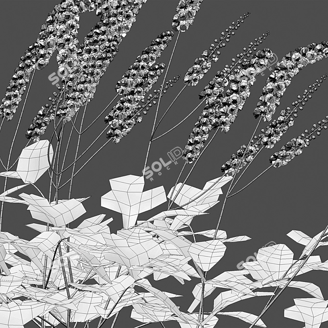 3D Plant Models Collection: Versatile, High-Quality 3D model image 7