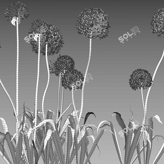 3D Allium Purple Plant Models 3D model image 5