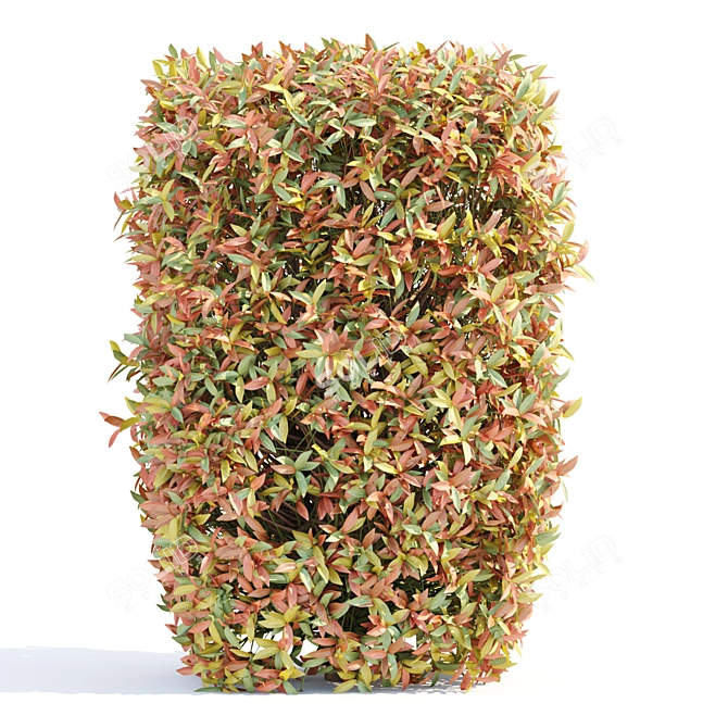 Vibrant Autumn Bushes Assortment vol.148 3D model image 2