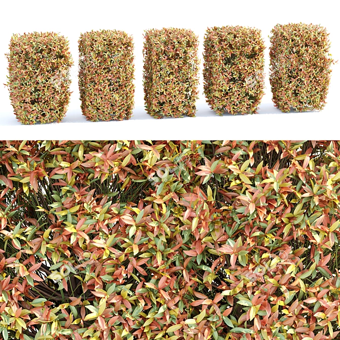 Vibrant Autumn Bushes Assortment vol.148 3D model image 3