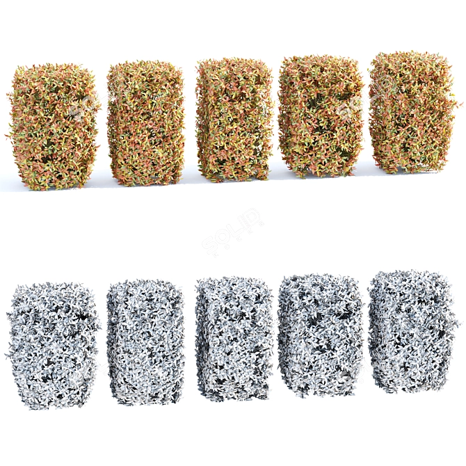 Vibrant Autumn Bushes Assortment vol.148 3D model image 5