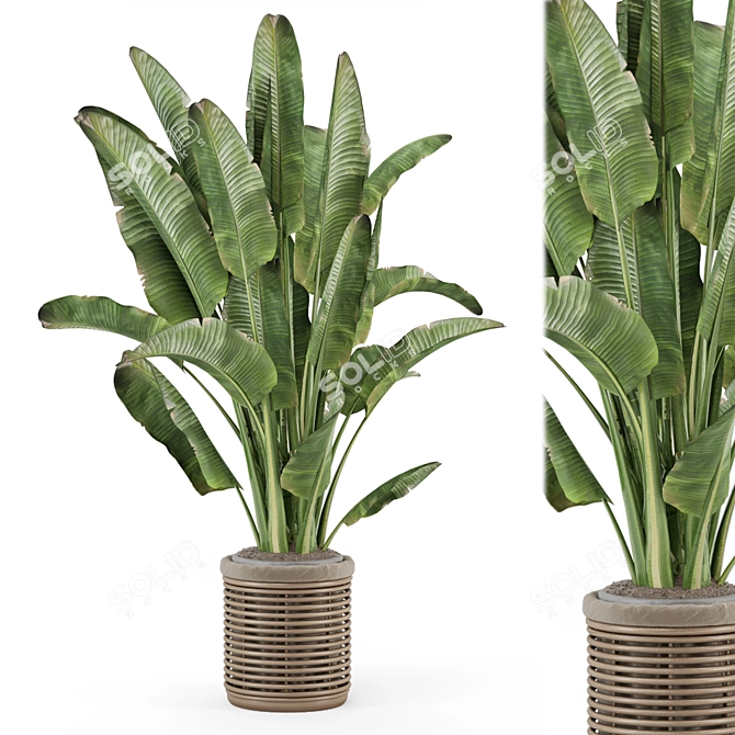 Handmade Wooden Pot Indoor Plants 3D model image 1