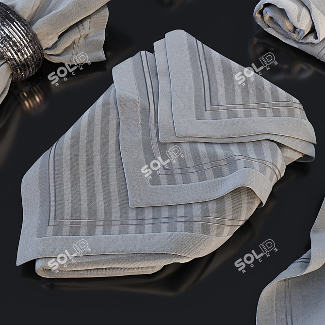 Table Napkin Set For Serving 3D model image 4