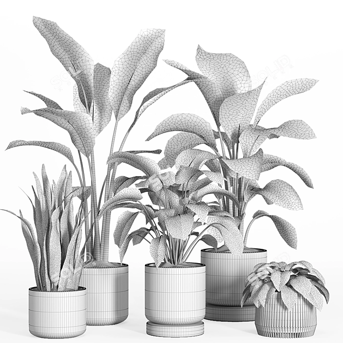 Modern Indoor Plant Set 37 3D model image 4