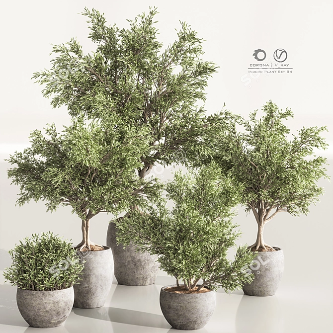 Versatile Indoor Plant Set 84 3D model image 1