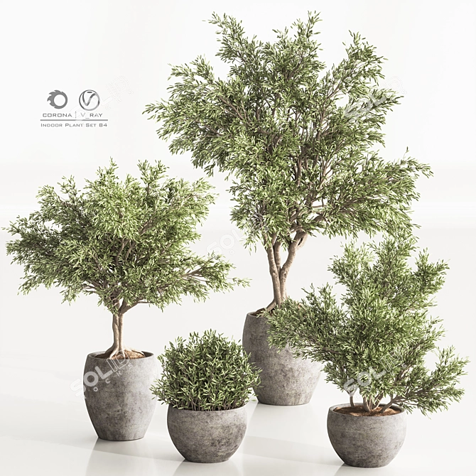 Versatile Indoor Plant Set 84 3D model image 2