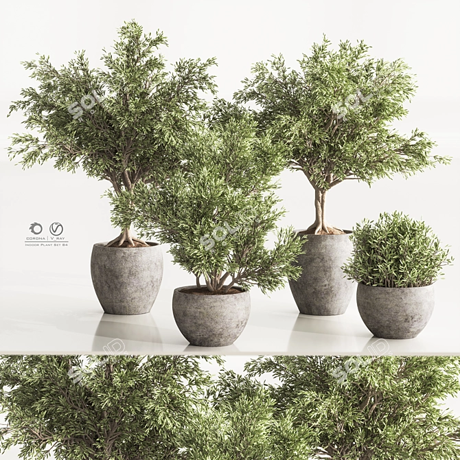 Versatile Indoor Plant Set 84 3D model image 3