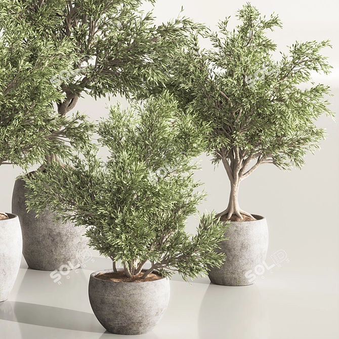 Versatile Indoor Plant Set 84 3D model image 4