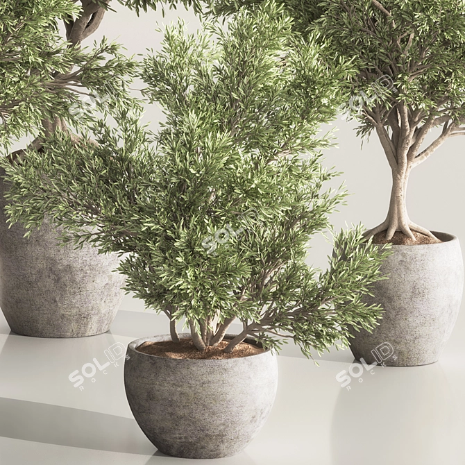 Versatile Indoor Plant Set 84 3D model image 5