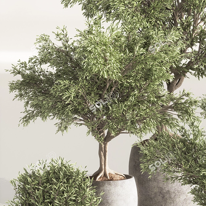 Versatile Indoor Plant Set 84 3D model image 6