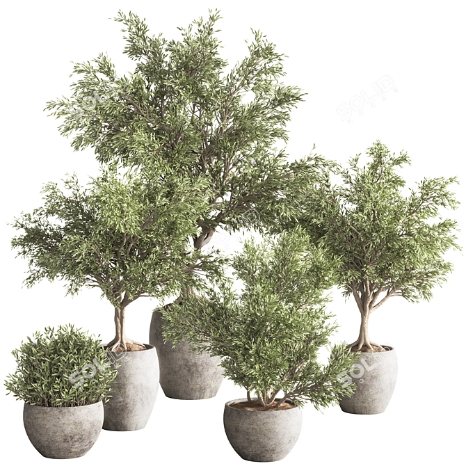 Versatile Indoor Plant Set 84 3D model image 8