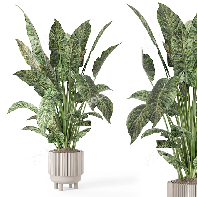 Rusty Concrete Pot Indoor Plants 3D model image 1