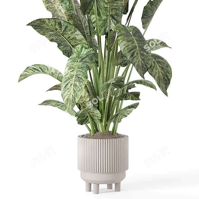 Rusty Concrete Pot Indoor Plants 3D model image 3