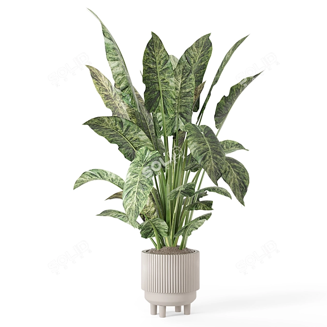 Rusty Concrete Pot Indoor Plants 3D model image 4