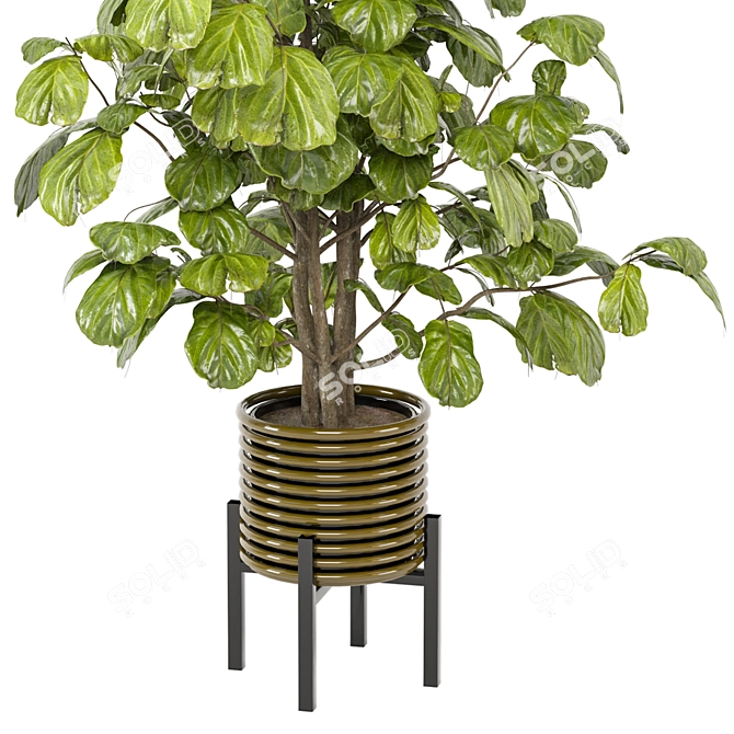 Indoor Plants Collection 3D Models 3D model image 3