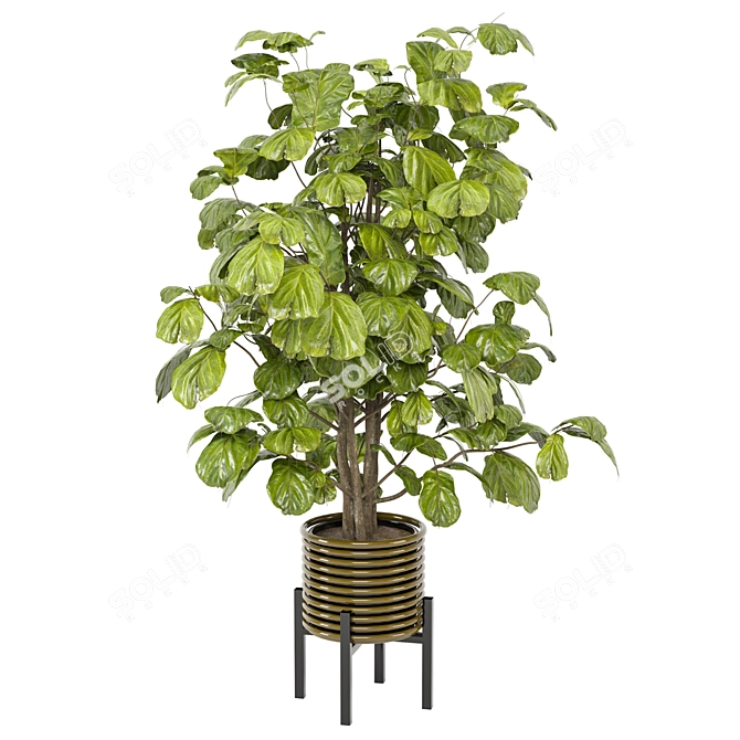 Indoor Plants Collection 3D Models 3D model image 6