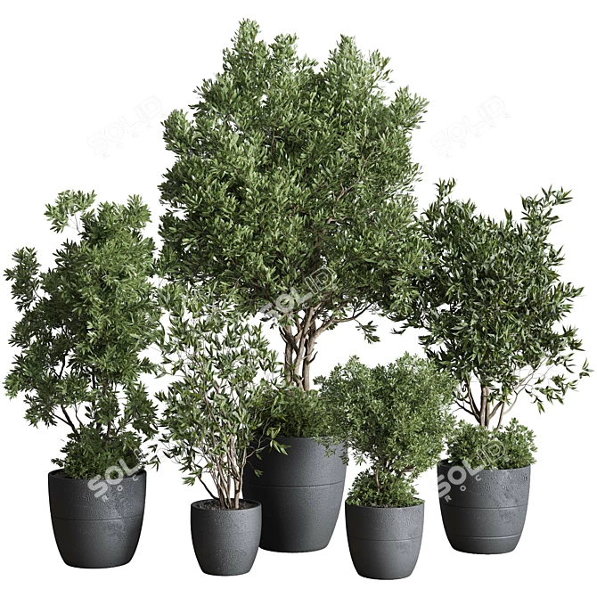 Concrete Olive Tree Plant Set 3D model image 1