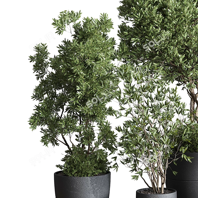 Concrete Olive Tree Plant Set 3D model image 2