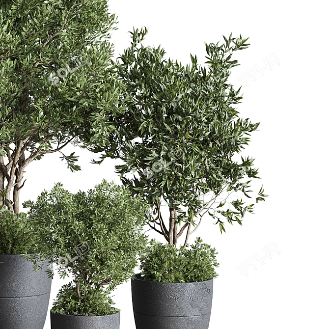 Concrete Olive Tree Plant Set 3D model image 4