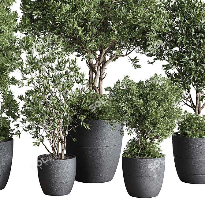 Concrete Olive Tree Plant Set 3D model image 5