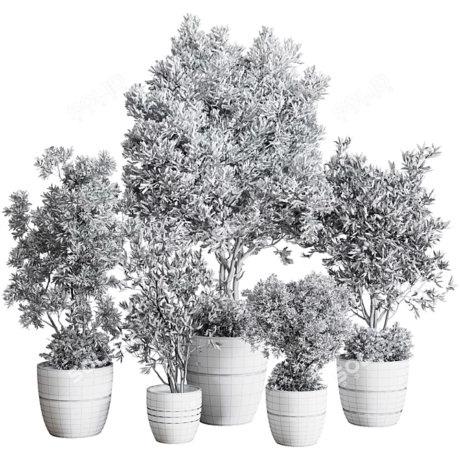 Concrete Olive Tree Plant Set 3D model image 6