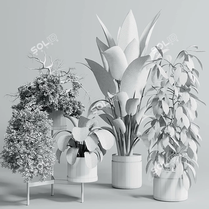 Concrete Vase Indoor Plant Set 3D model image 6