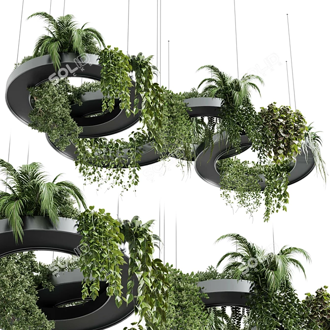 Modern Hanging Indoor Plant 3D Model 3D model image 1