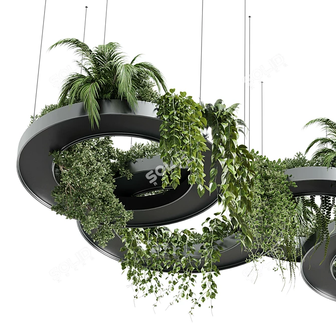 Modern Hanging Indoor Plant 3D Model 3D model image 3