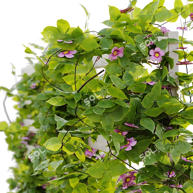 Rustic Outdoor Plant Set 08 3D model image 2