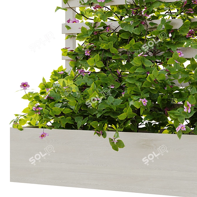 Rustic Outdoor Plant Set 08 3D model image 4