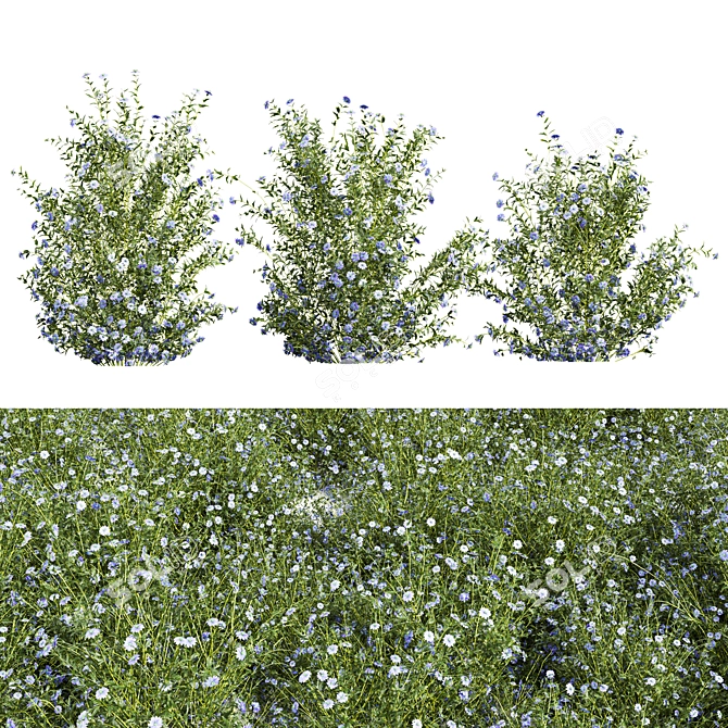 Botanical 3D Plant Models Set 3D model image 1