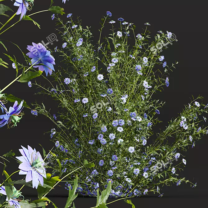 Botanical 3D Plant Models Set 3D model image 2