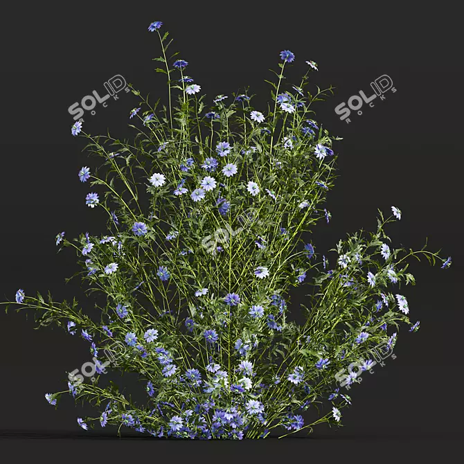 Botanical 3D Plant Models Set 3D model image 3