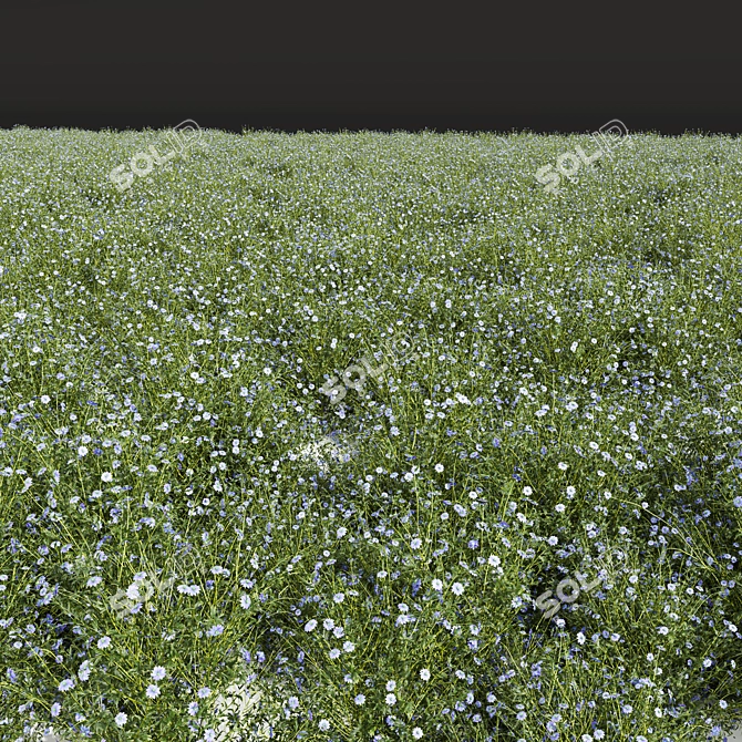 Botanical 3D Plant Models Set 3D model image 4