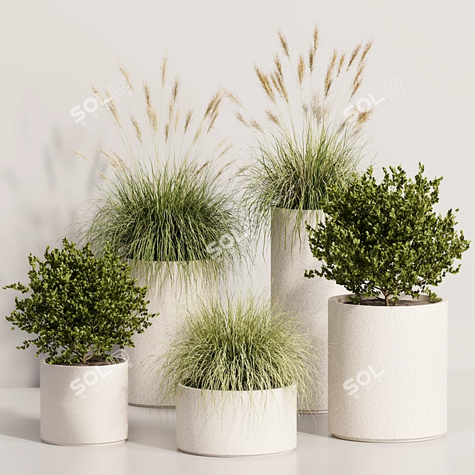 Luxury Indoor Plant Set 3DsMax 3D model image 1