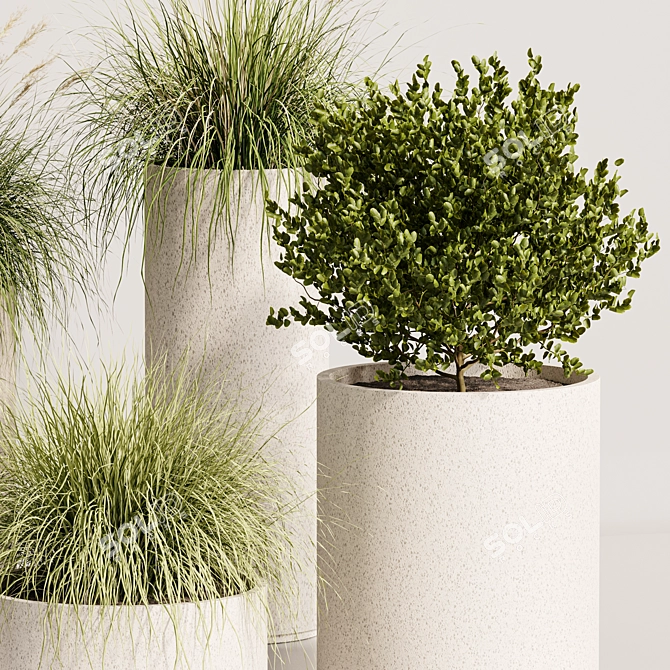 Luxury Indoor Plant Set 3DsMax 3D model image 3