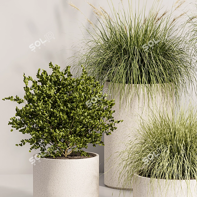 Luxury Indoor Plant Set 3DsMax 3D model image 4