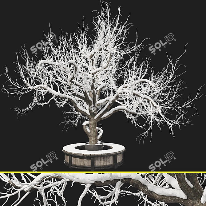 Outdoor Plant Set with Max 2015 3D model image 4