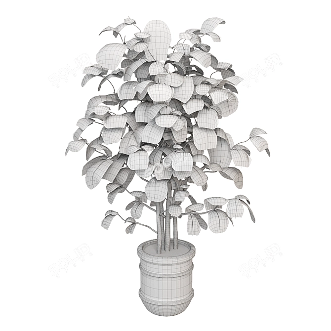 3D Indoor Plants Collection Render Vray Corona 3D model image 7