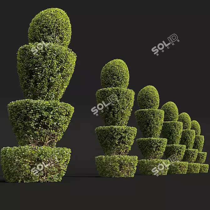 Mosaic Nerve Plant 3D Models 3D model image 4