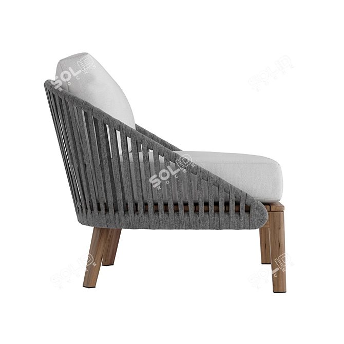 Teak & Tricord Lounge Chair 3D model image 5