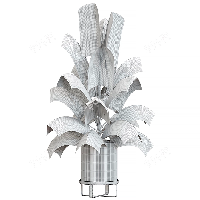 Corona Plant Collection 3D Models 3D model image 2