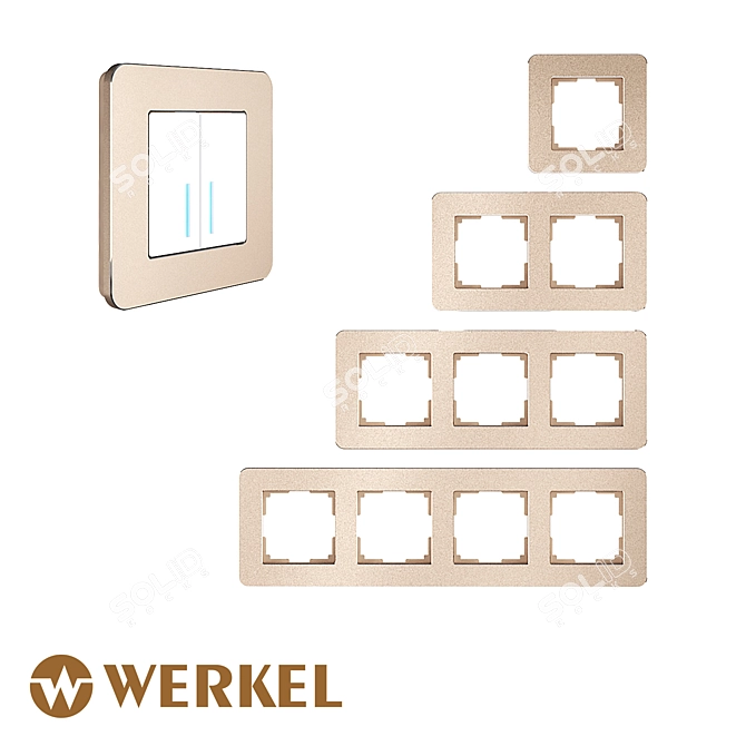 Werkel Platinum Metal Frames 3D model image 1