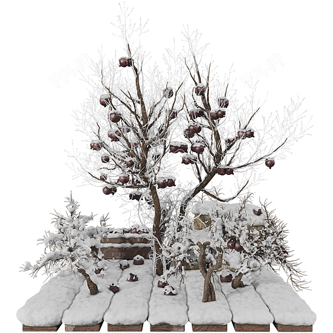 Winter Pomegranate Tree Set 3D model image 2