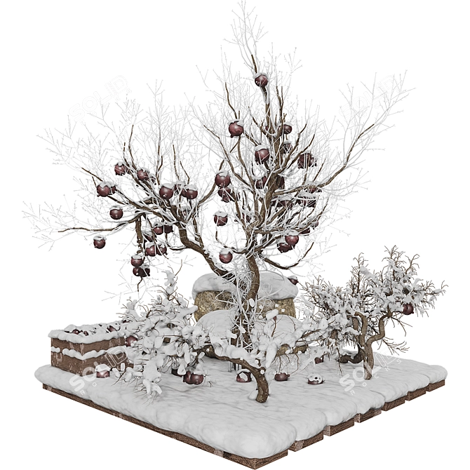 Winter Pomegranate Tree Set 3D model image 3