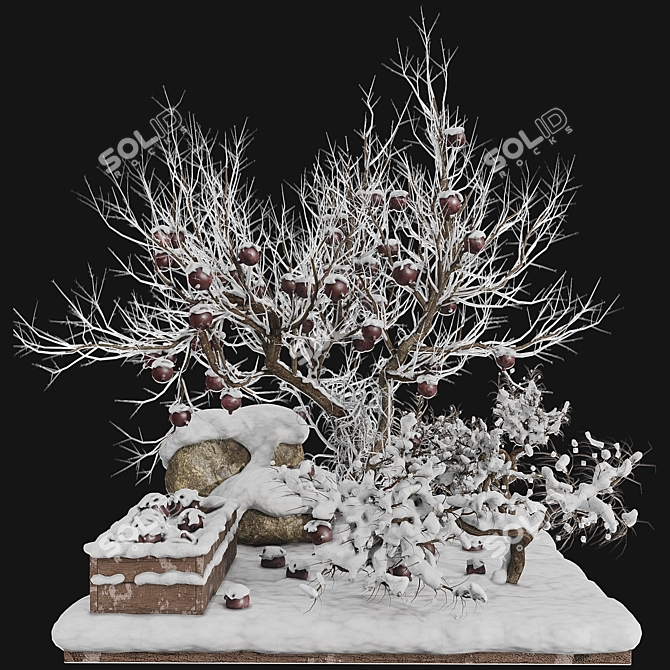 Winter Pomegranate Tree Set 3D model image 4